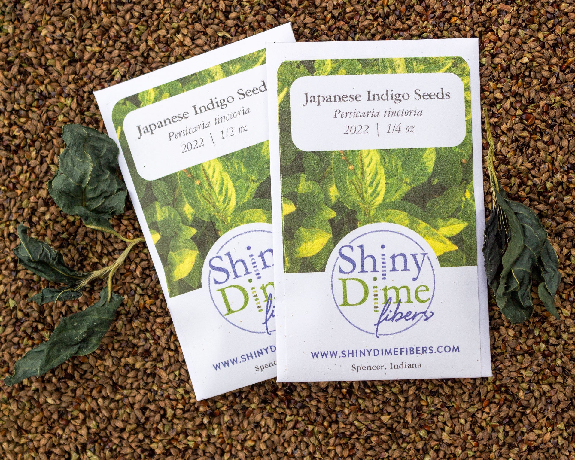 indigo plant seeds online Japanese Indigo Seeds 1/4 oz